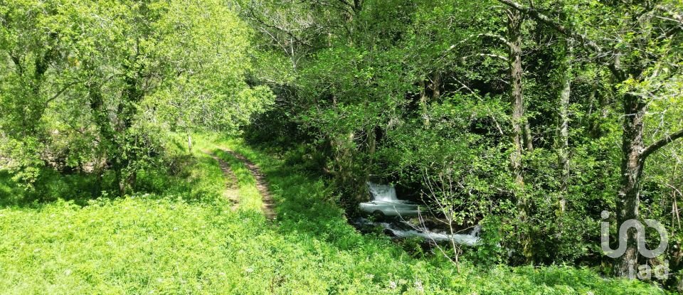 Building plot in São Miguel, Santa Eufémia e Rabaçal of 27,351 m²