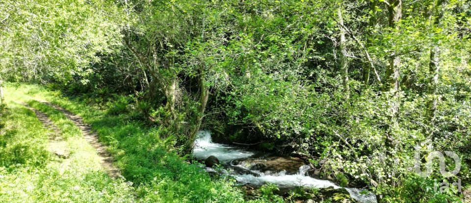 Building plot in São Miguel, Santa Eufémia e Rabaçal of 27,351 m²