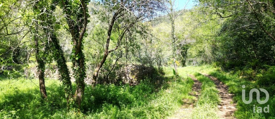 Building plot in São Miguel, Santa Eufémia e Rabaçal of 27,351 m²