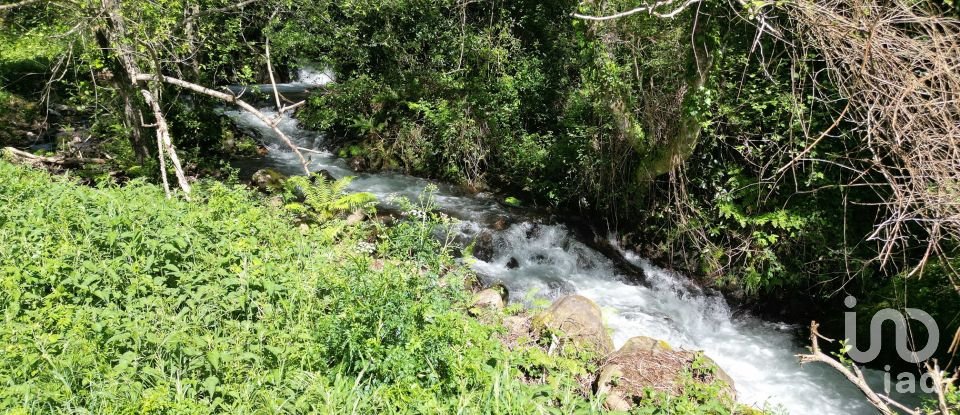 Building plot in São Miguel, Santa Eufémia e Rabaçal of 27,351 m²