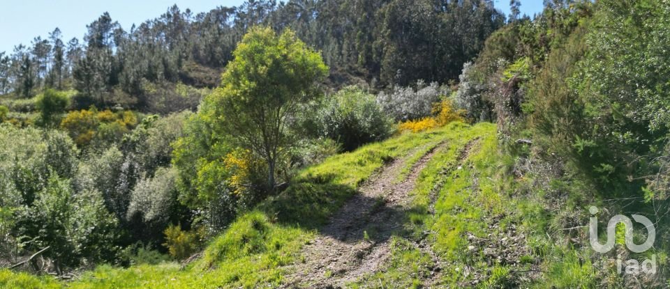 Building plot in São Miguel, Santa Eufémia e Rabaçal of 27,351 m²