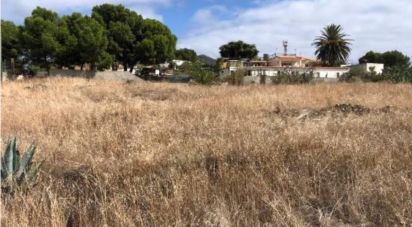 Terrain à Porto Santo de 4 766 m²