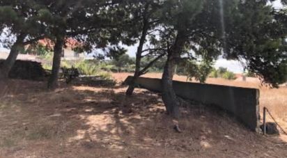 Terrain à Porto Santo de 4 766 m²