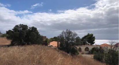 Terrain à Porto Santo de 4 766 m²