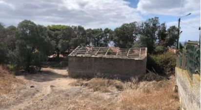 Terrain à Porto Santo de 4 766 m²