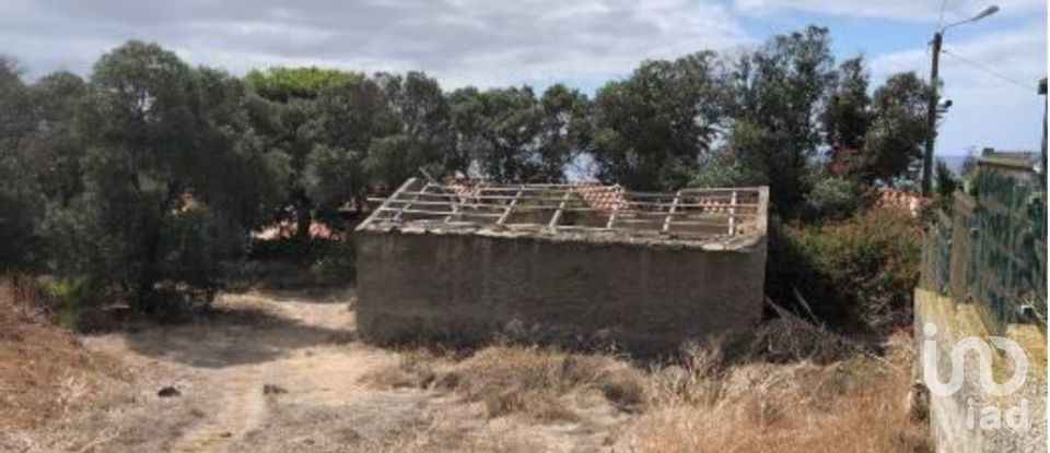 Terrain à Porto Santo de 4 766 m²