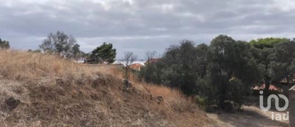 Terrain à Porto Santo de 4 766 m²