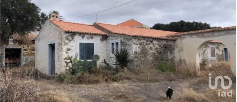 Terrain à Porto Santo de 4 766 m²