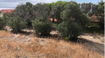 Terrain à Porto Santo de 4 766 m²