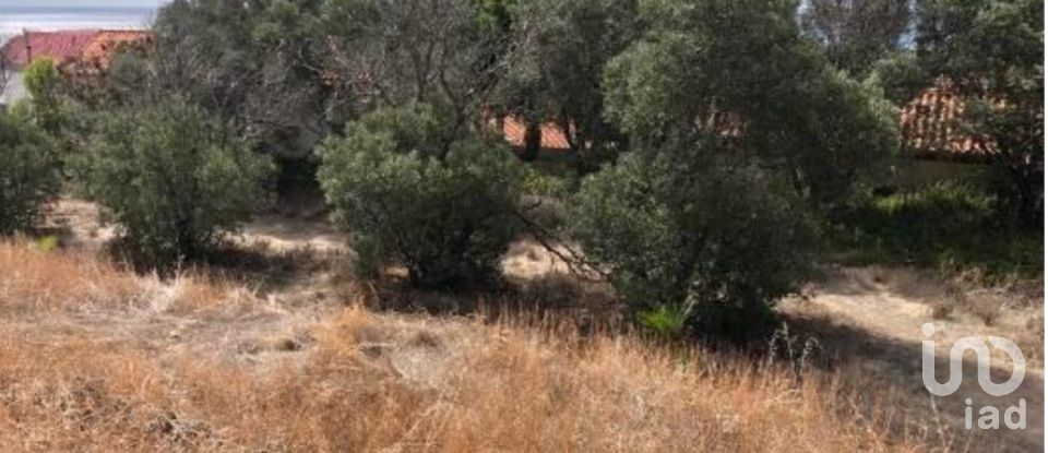 Terrain à Porto Santo de 4 766 m²