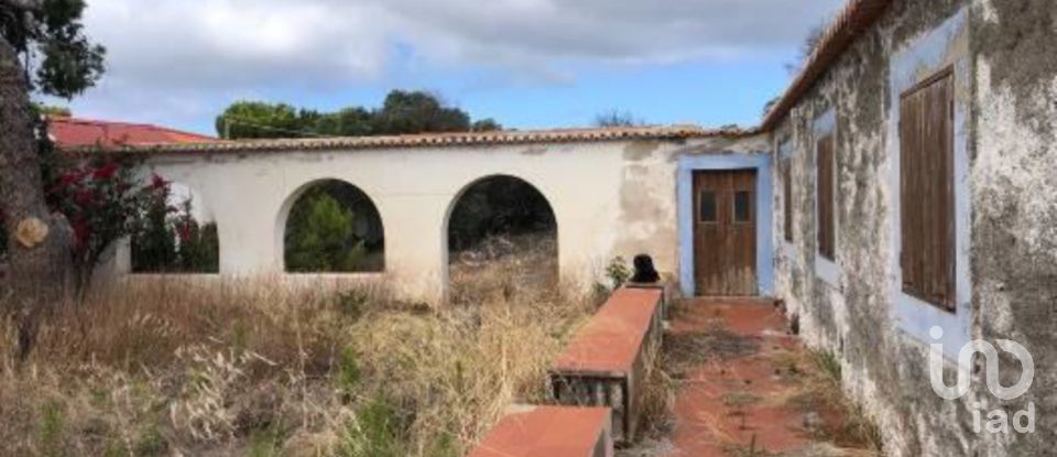 Terrain à Porto Santo de 4 766 m²