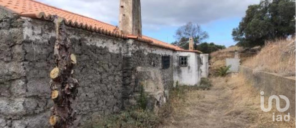 Terrain à Porto Santo de 4 766 m²