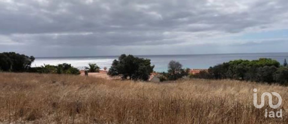 Terrain à Porto Santo de 4 766 m²