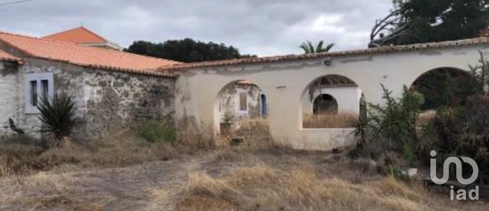 Terrain à Porto Santo de 4 766 m²