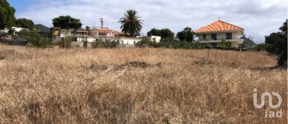 Terrain à Porto Santo de 4 766 m²