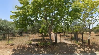 Terrain à bâtir à Ferreiras de 2 624 m²