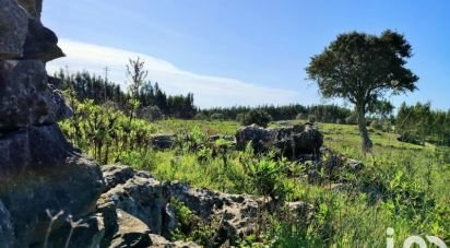 Terrain à Reguengo Grande de 27 508 m²