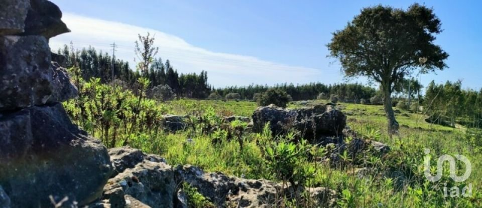 Terreno em Reguengo Grande de 27 508 m²