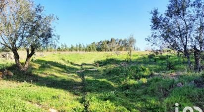 Terrain à Reguengo Grande de 27 508 m²