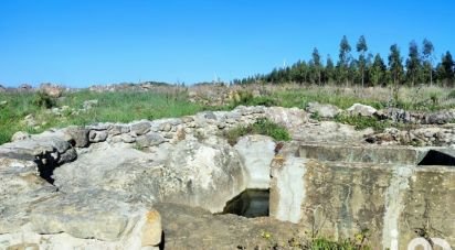 Terrain à Reguengo Grande de 27 508 m²