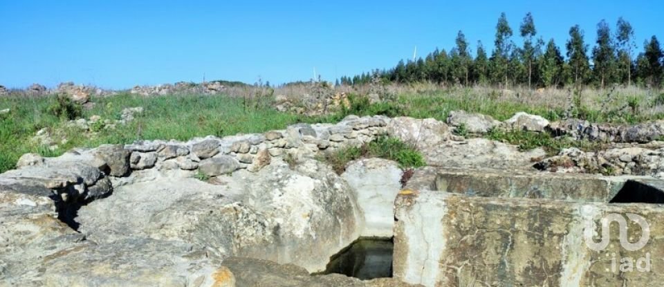 Terreno em Reguengo Grande de 27 508 m²