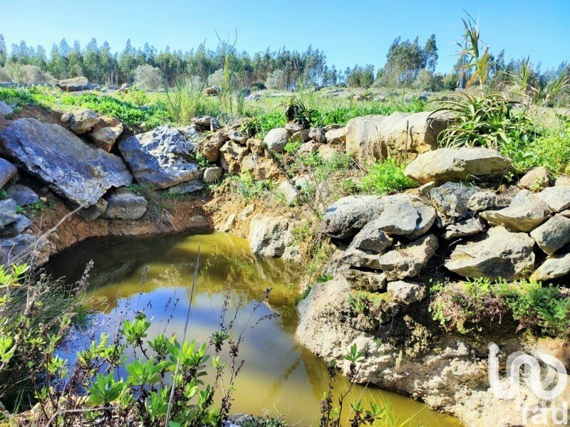 Terreno em Reguengo Grande de 27 508 m²