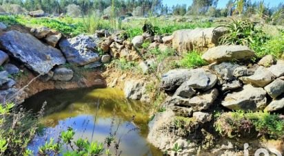 Terrain à Reguengo Grande de 27 508 m²