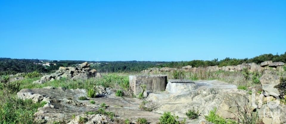 Terreno em Reguengo Grande de 27 508 m²