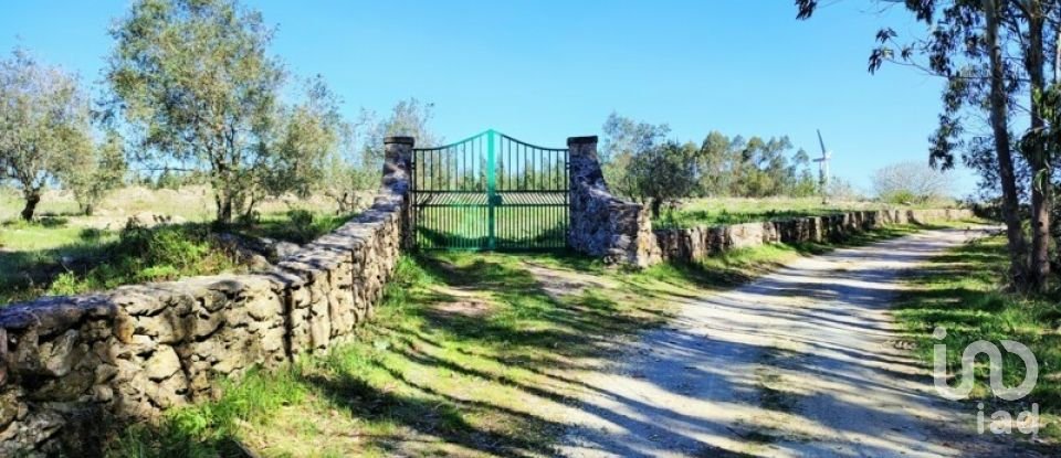 Terreno em Reguengo Grande de 27 508 m²