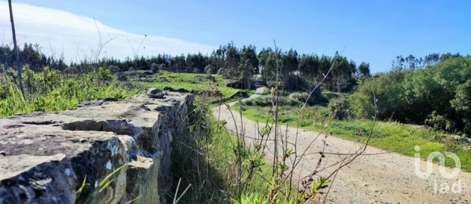 Terreno em Reguengo Grande de 27 508 m²