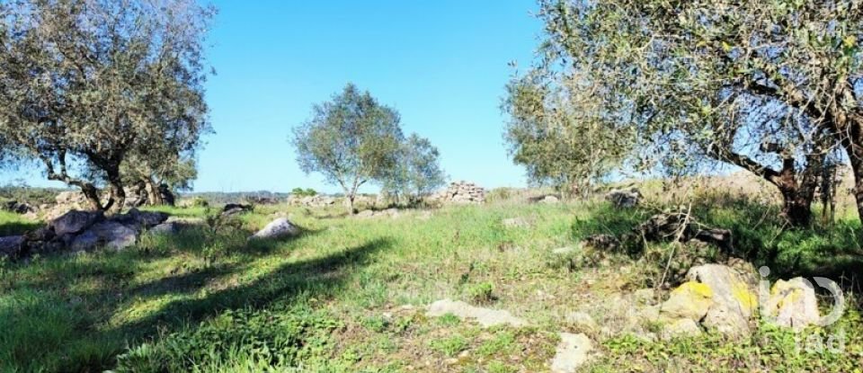 Terreno em Reguengo Grande de 27 508 m²