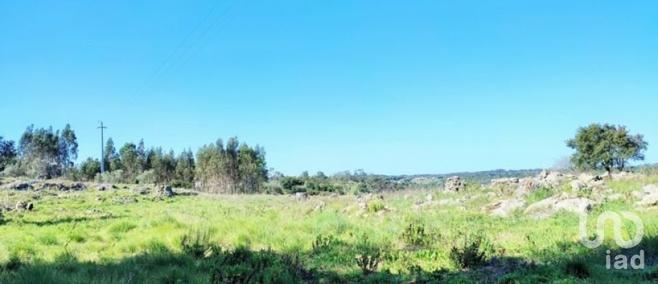 Terreno em Reguengo Grande de 27 508 m²