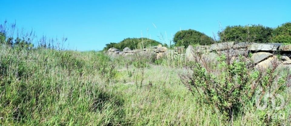 Terreno em Reguengo Grande de 27 508 m²