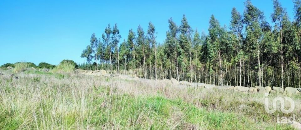 Terreno em Reguengo Grande de 27 508 m²