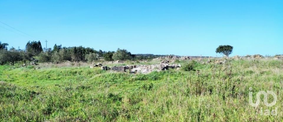 Terreno em Reguengo Grande de 27 508 m²