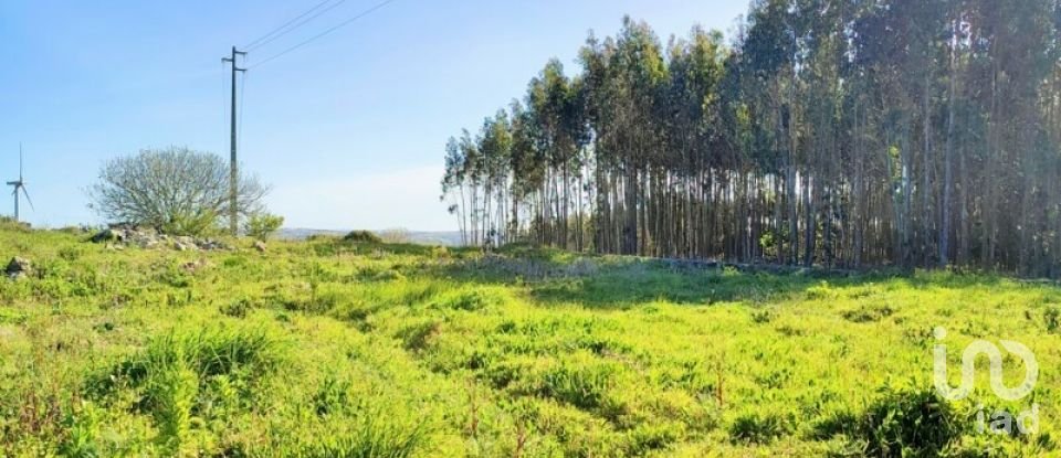 Terreno em Reguengo Grande de 27 508 m²