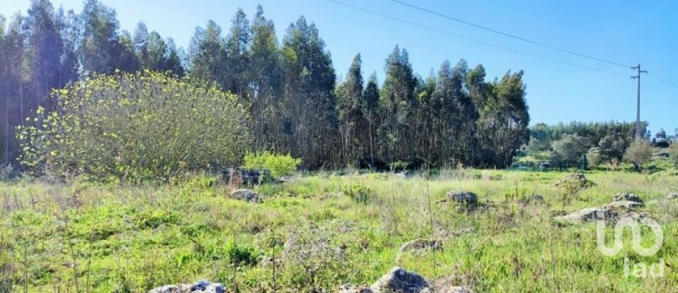 Terreno em Reguengo Grande de 27 508 m²