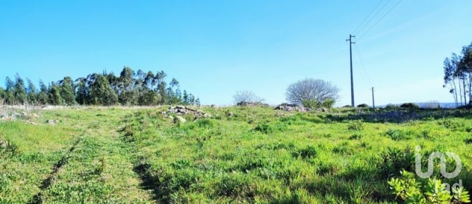 Terreno em Reguengo Grande de 27 508 m²