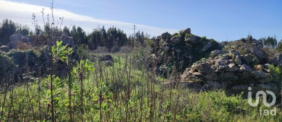 Terreno em Reguengo Grande de 27 508 m²