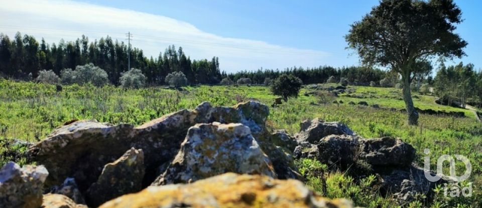 Terreno em Reguengo Grande de 27 508 m²