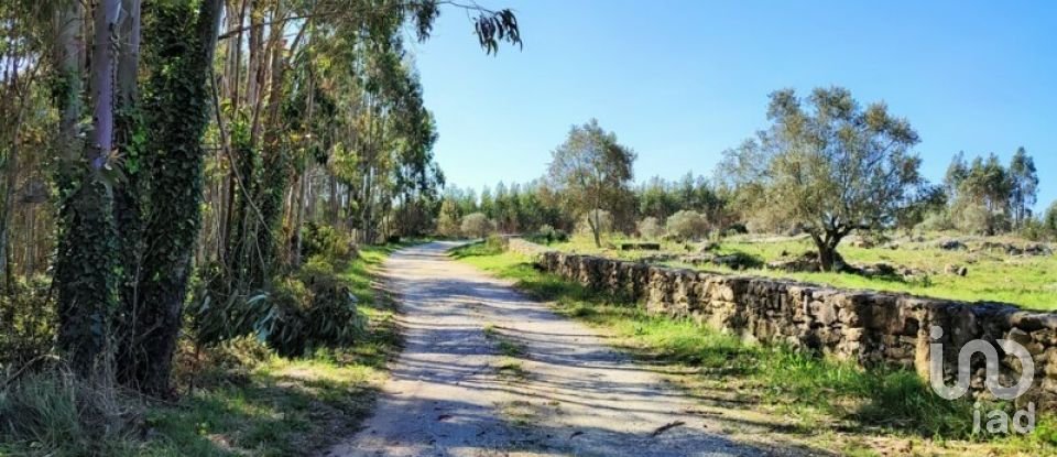 Terreno em Reguengo Grande de 27 508 m²