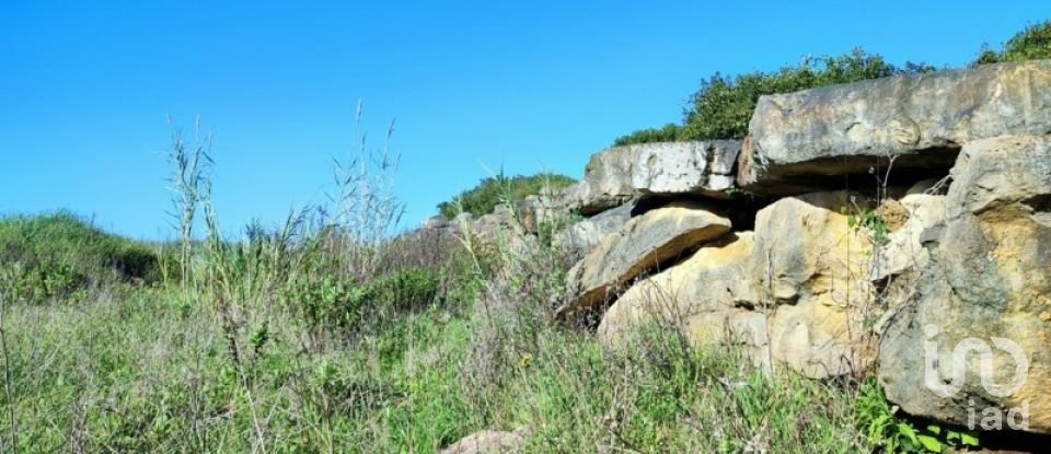 Terreno em Reguengo Grande de 27 508 m²