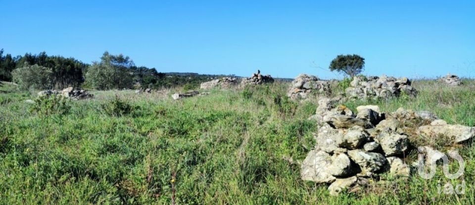 Terreno em Reguengo Grande de 27 508 m²