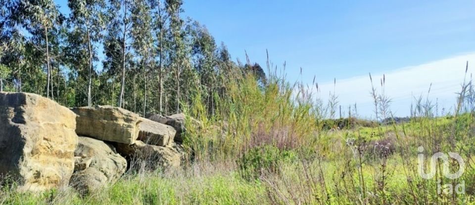 Terreno em Reguengo Grande de 27 508 m²