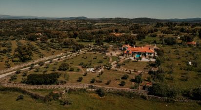Ferme T6 à Idanha-a-Nova e Alcafozes de 474 m²