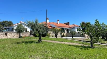 Ferme T6 à Idanha-a-Nova e Alcafozes de 474 m²