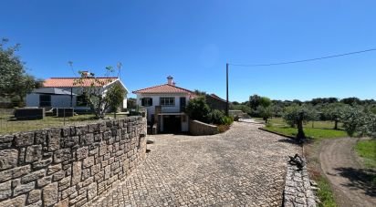 Ferme T6 à Idanha-a-Nova e Alcafozes de 474 m²