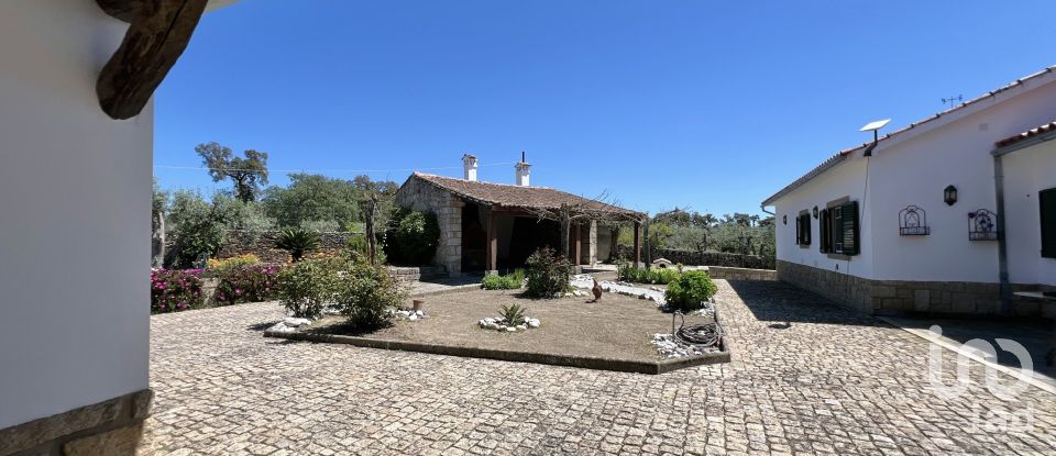 Ferme T6 à Idanha-a-Nova e Alcafozes de 474 m²