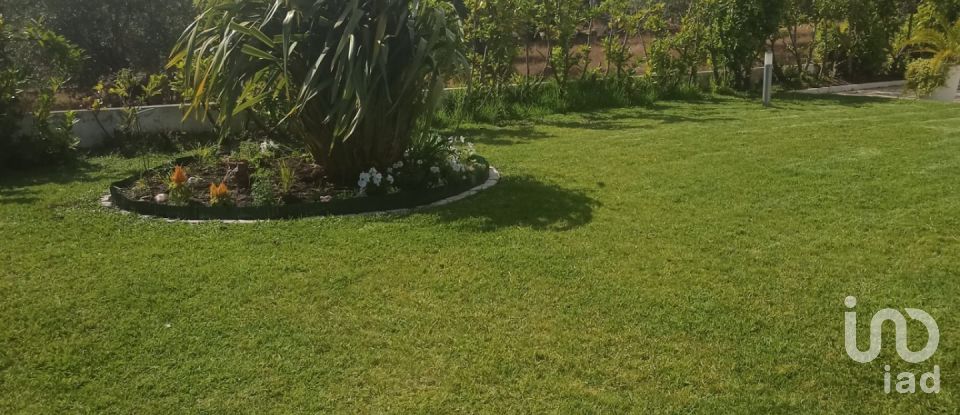 Traditional house T5 in Nossa Senhora da Piedade of 660 m²