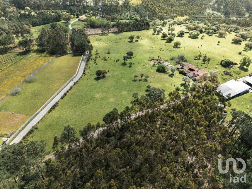 Land in Souto da Carpalhosa e Ortigosa of 161,861 m²